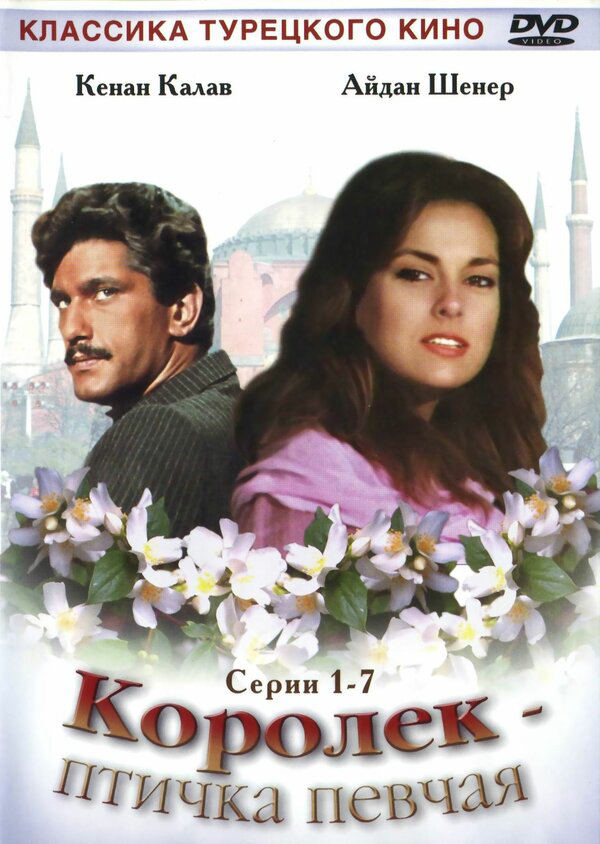 Королёк – птичка певчая - постер сериала